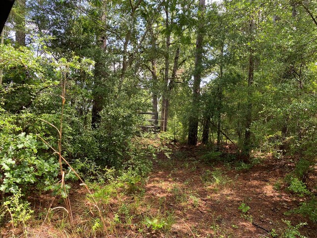 2020 County Road 2020, Newton, TX 75966 - photo 9