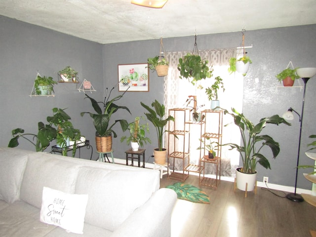 living room featuring hardwood / wood-style floors