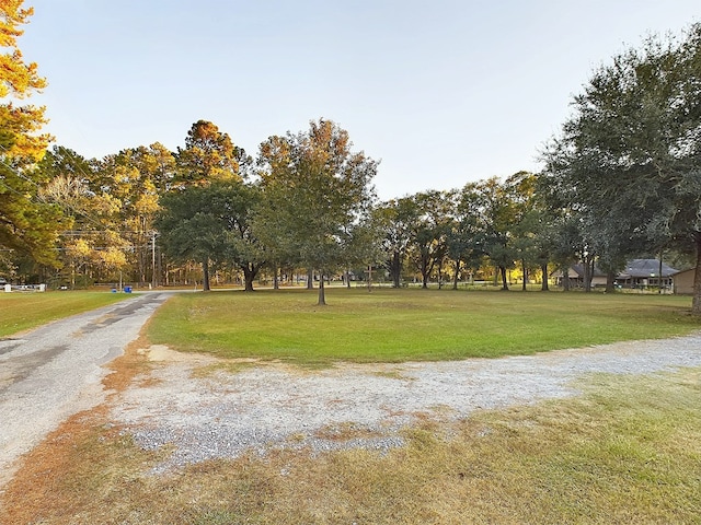 view of community featuring a yard