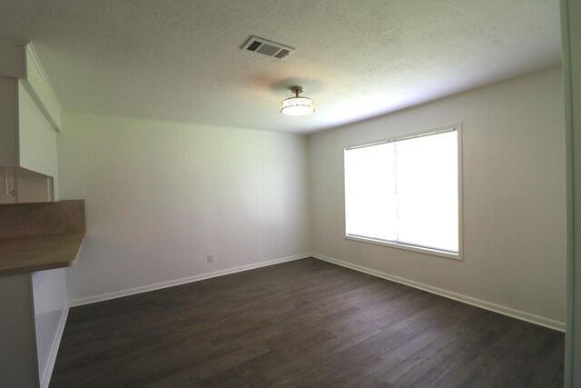 interior space with dark wood-type flooring and a textured ceiling