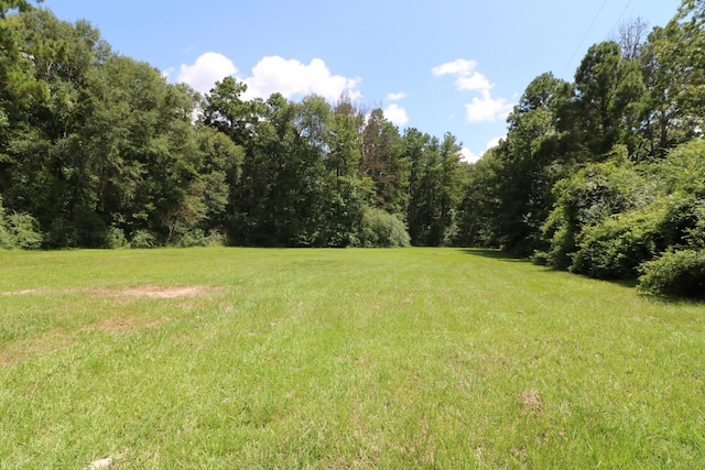 1325E Gibson St, Jasper, TX 75951 - photo 16