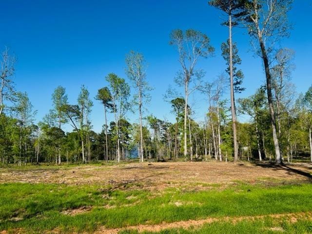 897 Nine Mile Rd, Milam, TX 75959