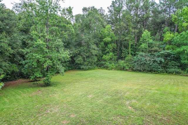 303 W Stringer, Kirbyville, TX 75956 - view of green lawn