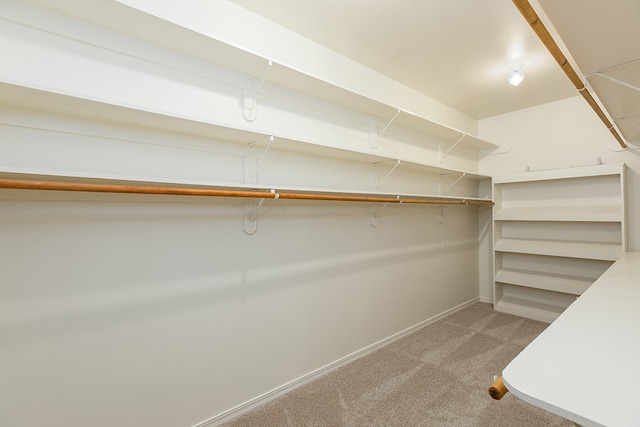 walk in closet featuring carpet floors