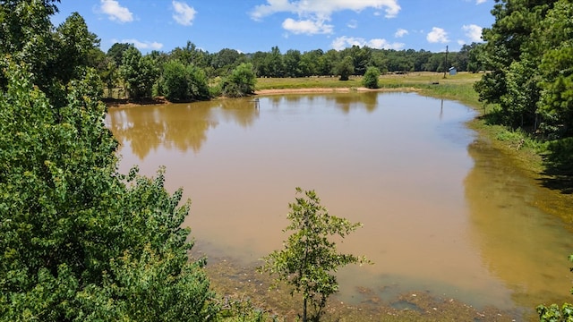 view of water feature