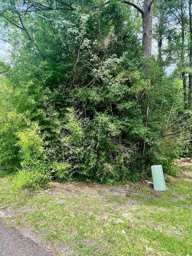 0 Pinehurst Dr, Brookeland, TX 75931