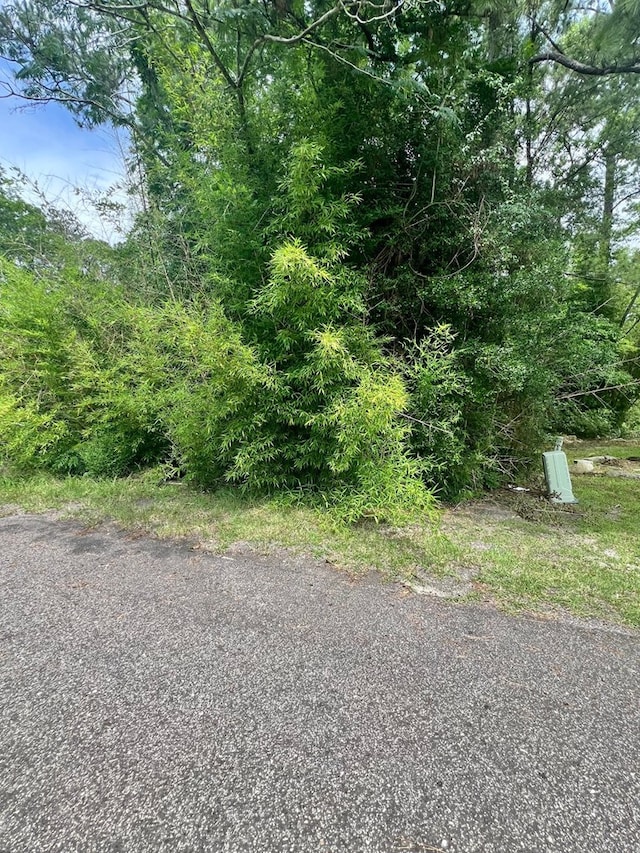 0 Pinehurst Dr, Brookeland, TX 75931