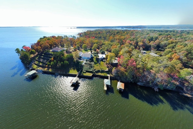 160 Somerset, Milam, TX 75959 - bird's eye view featuring a water view
