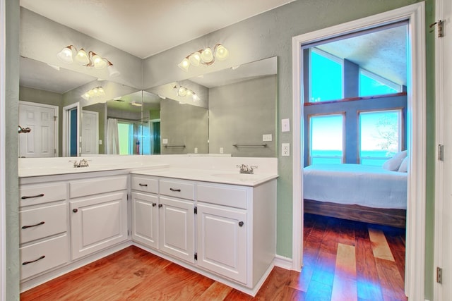 160 Somerset, Milam, TX 75959 - bathroom with vanity, wood-type flooring, and a wealth of natural light