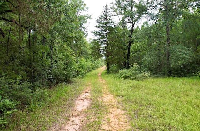 185/-ACRES Davidson Rd, Milam, TX 75948