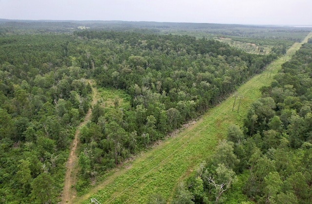 185/-ACRES Davidson Rd, Milam, TX 75948