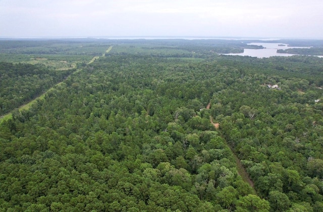 185/-ACRES Davidson Rd, Milam, TX 75948