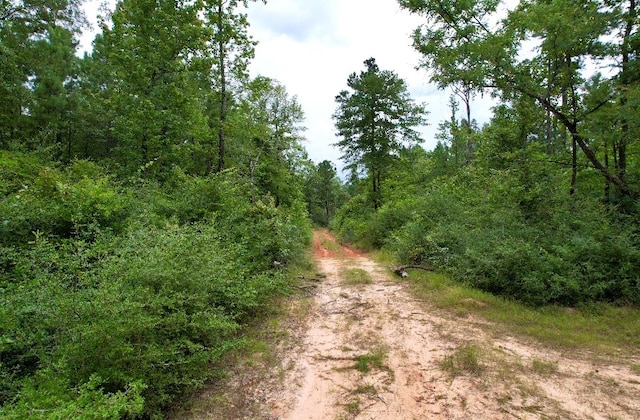 185/-ACRES Davidson Rd, Milam, TX 75948