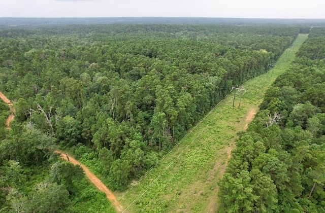 185/-ACRES Davidson Rd, Milam, TX 75948