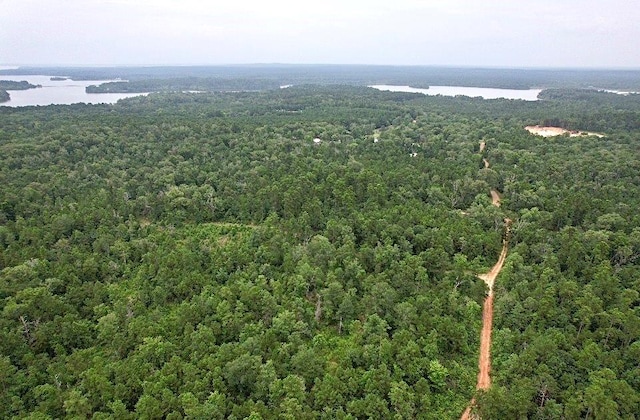 185/-ACRES Davidson Rd, Milam, TX 75948