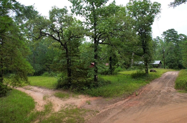 185/-ACRES Davidson Rd, Milam, TX 75948