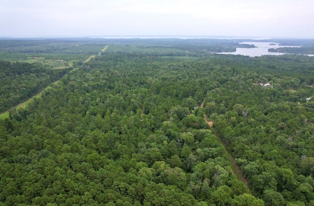 185/-ACRES Davidson Rd, Milam, TX 75948