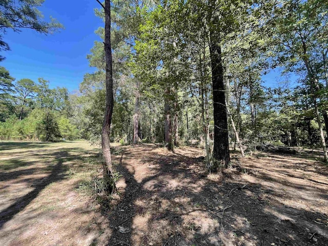 580 Dogwood Loop, Jasper TX, 75951 land for sale