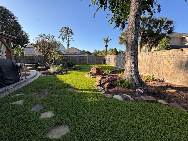 view of yard featuring a fenced backyard