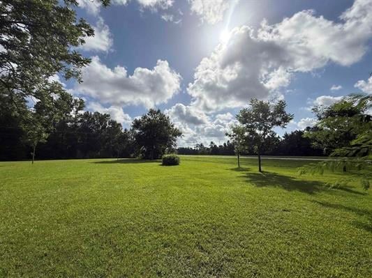 3945 US Highway 96 S, Buna, TX 77612 - photo 9
