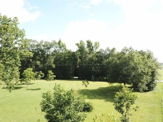 3945 US Highway 96 S, Buna, TX 77612 - photo 5