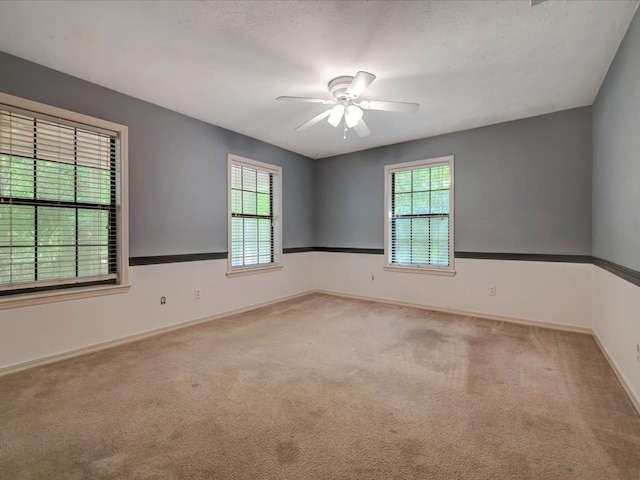 empty room with plenty of natural light and light colored carpet