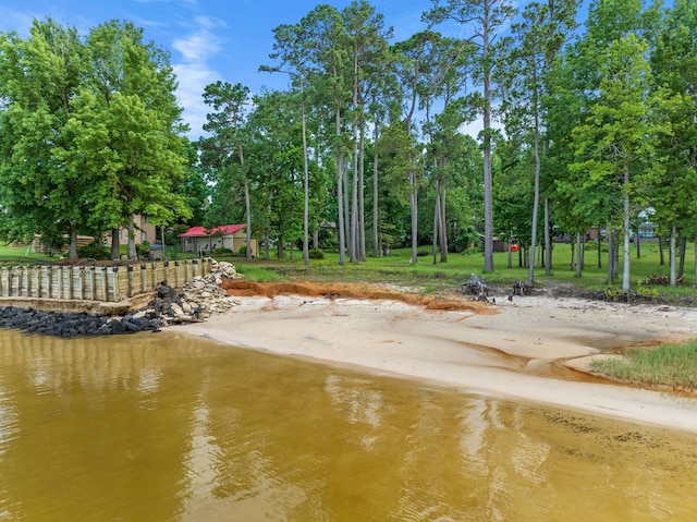 444 Lakewood Dr, Jasper, TX 75951 - photo 23