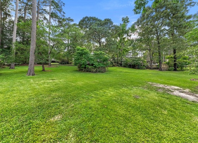 444 Lakewood Dr, Jasper, TX 75951 - photo 17