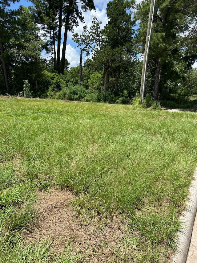 R143751 LOT28 Dena Kay Dr, Lufkin, TX 74904 - photo 3
