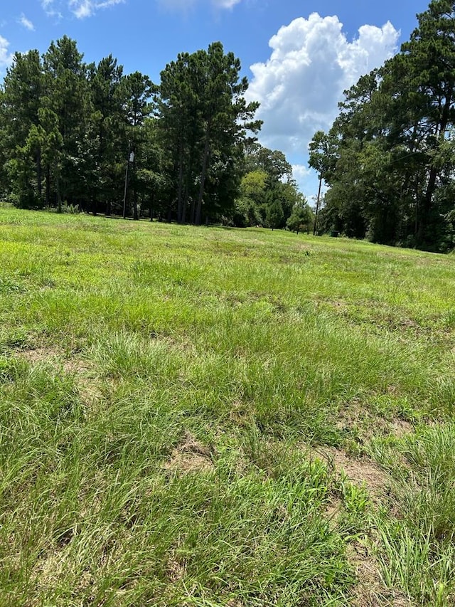 R143751 LOT28 Dena Kay Dr, Lufkin, TX 74904 - photo 1