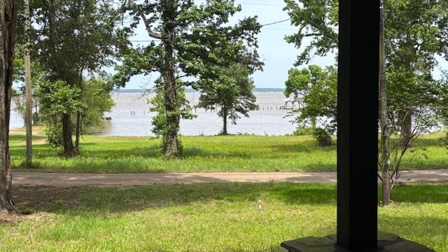 372 County Road 2781, Shelbyville, TX 75973 - photo 39