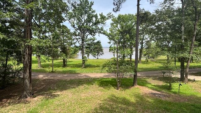 372 County Road 2781, Shelbyville, TX 75973 - photo 42