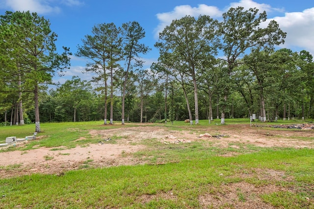 386 Mimosa Ln, Lufkin, TX 75901 - photo 39