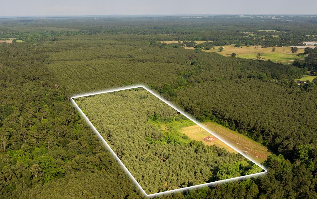 LOT1 County Road 837, Nacogdoches, TX 75964 - photo 1