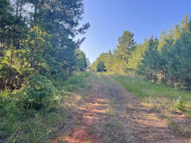 20ACR/WFRONT Hill Country Dr, Hemphill, TX 75948