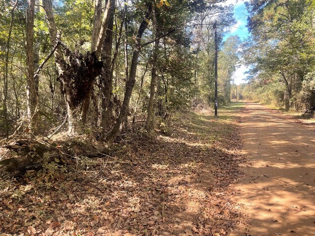 20ACR/WFRONT Hill Country Dr, Hemphill, TX 75948