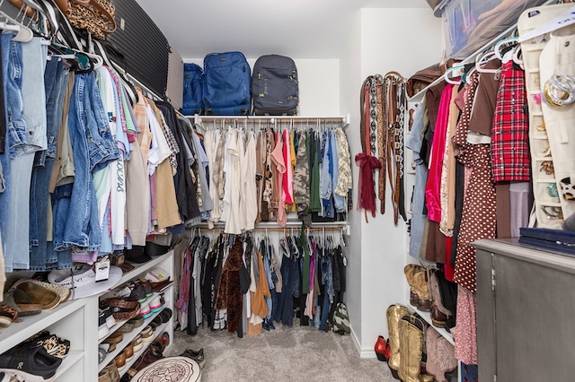 spacious closet featuring carpet