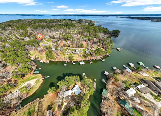 aerial view with a water view