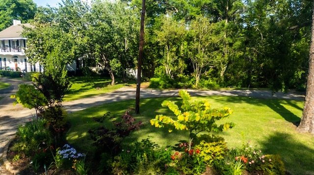 view of property's community featuring a lawn