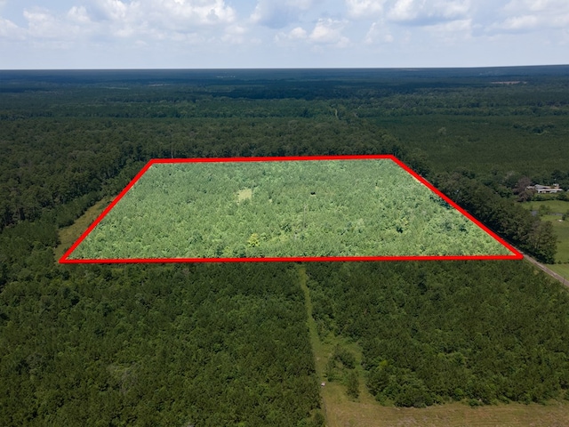 1455 Neal Rd, Huntington, TX 75949 - photo 9