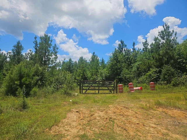 1455 Neal Rd, Huntington, TX 75949 - photo 3