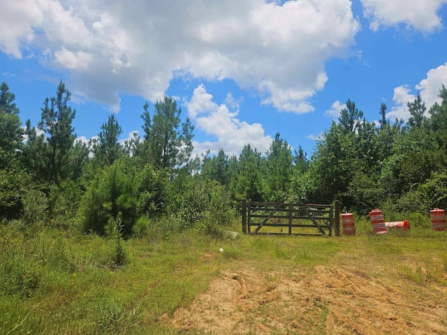 1455 Neal Rd, Huntington, TX 75949 - photo 4