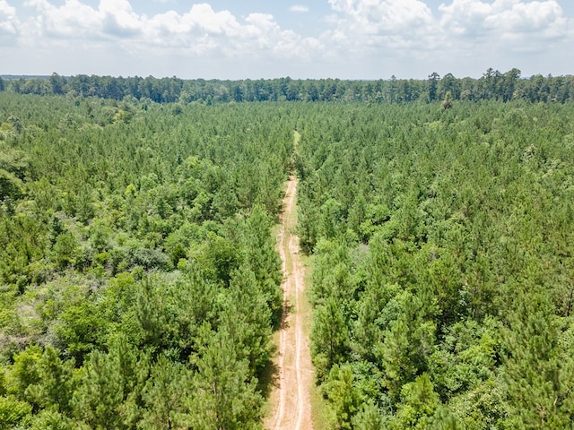 1455 Neal Rd, Huntington, TX 75949 - photo 6