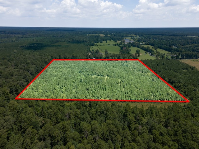 1455 Neal Rd, Huntington, TX 75949 - photo 12