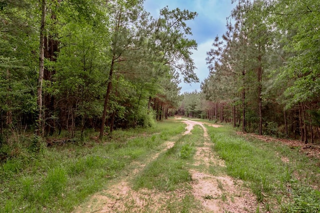 view of road with a forest view