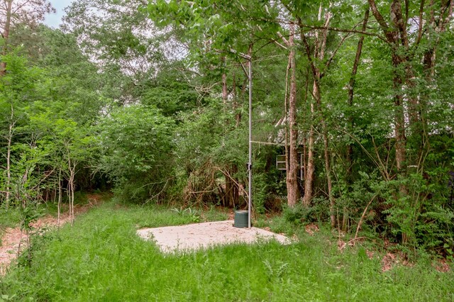 view of yard with a wooded view