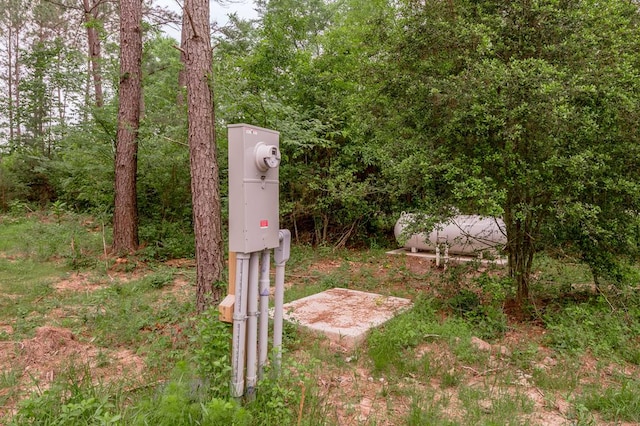 details with electric meter