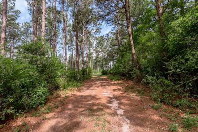 view of street with a forest view