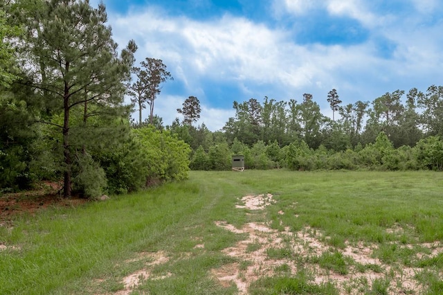 view of local wilderness featuring a forest view