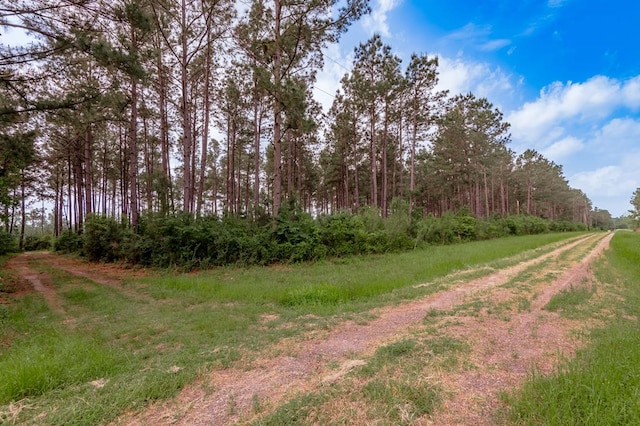 view of road featuring a view of trees